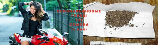альфа пвп Нязепетровск