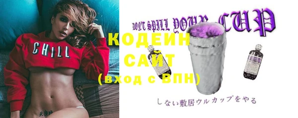 apvp Няндома