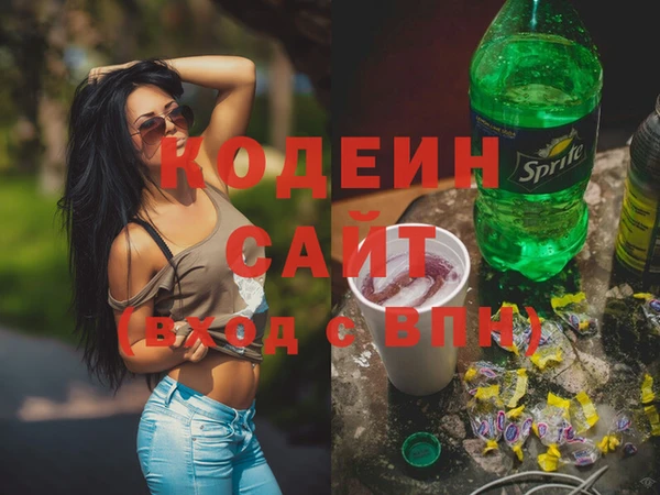 apvp Няндома
