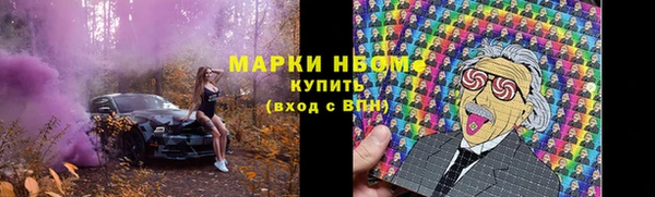 apvp Няндома