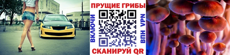 даркнет какой сайт  Княгинино  Галлюциногенные грибы Psilocybine cubensis  даркнет сайт 