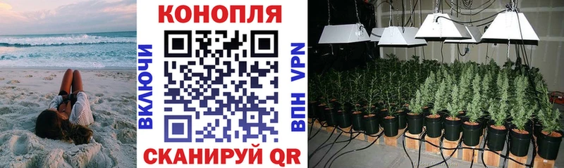 Шишки марихуана THC 21%  купить   Княгинино 